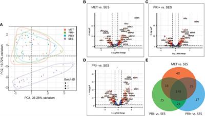 Cancer Progression Gene Expression Profiling Identifies the Urokinase Plasminogen Activator Receptor as a Biomarker of Metastasis in Cutaneous Squamous Cell Carcinoma